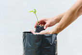Grow bags